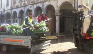 Arras : Les jardiniers municipaux fleurissent le centre-ville