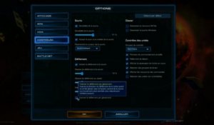 StarCraft II Heart of the Swarm: Menu des options