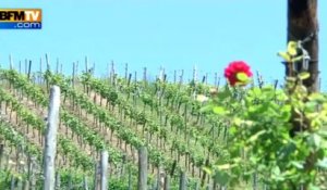 Les plus beaux villages de France: Riquewihr en Alsace - 18/07