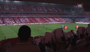 Stade Pierre Mauroy : Un an déjà !