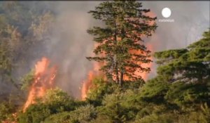 Le Portugal et Majorque en proie aux incendies
