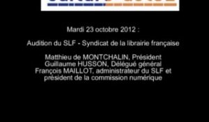 Mission culture-acte2 | audition du SLF - Syndicat de la librairie française [audio]