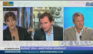 Budget 2014 : anesthésie générale ? dans Les décodeurs de l'éco - 11/09 4/5