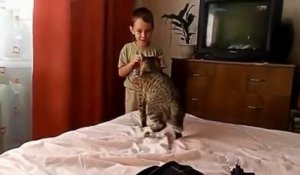 Un chat se venge d'un enfant qui l'embête