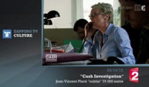 Zapping TV : Jean-Vincent Placé "oublie" 75 000 euros