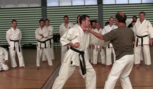 Présentation du Karaté martial