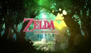 The Legend Of Zelda : A Link Between Worlds - Aperçu général