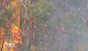 En Australie, les incendies ravagent toujours la région de Sydney