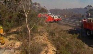 Incendies en Australie: les pompiers prennent enfin le dessus - 25/10