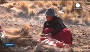 La fonte des glaciers dans les Andes menace les agriculteurs boliviens