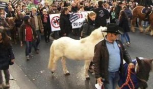 Equitaxe: une manifestation à cheval contre la hausse de la TVA - 11/11