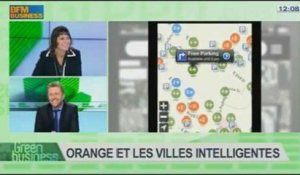 Orange et les villes intelligentes: Arnaud Gossement et Nathalie Leboucher, dans Green Business - 10/11 1/4