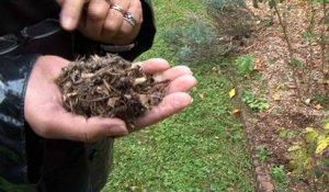 Bois raméal fragmenté BRF technique pour restaurer les sols détruit par le labour et les engrais chimiques Lydia Bourguignon et Bernard Ronot nous donnent des explications