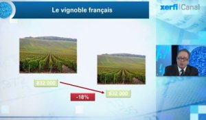 Alexandre Mirlicourtois, Xerfi Canal Montée en gamme de la France : le cas exemplaire des vins et spiritueux