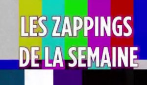 Zap Hebdo : Nicolas Bedos, Ariel Wizman, Carla Bruni… retour sur les derniers clashs