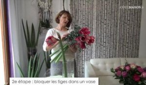 Comment bien conserver des fleurs à tiges souples ?