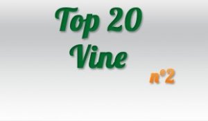 Top 20 Best Vines Video Week #2