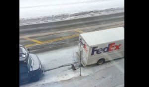 Une dinde sauvage attaque le livreur de FedEx. Ahaha