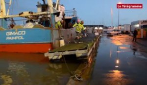 Paimpol. Un ponton sur le quai !