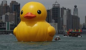 Le canard géant "Rubber Duck" explose à Taïwan - ZAPPING ACTU DU 03/01/2014