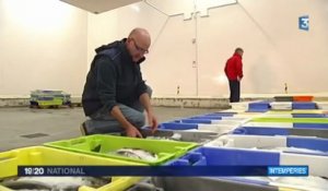 Bretagne : les mauvaises conditions météo frappent les marins-pêcheurs