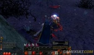 Warhammer Online :  Age of Reckoning - Serviteur du Chaos