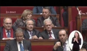 Centrafrique : Laurent Fabius répond à une question à l'Assemblée nationale (15/01/2014)