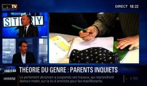 BFM Story: Enseignement de la théorie du genre à l'école: Jean-Hervé Le Niger rassure les parents d'élèves - 28/01