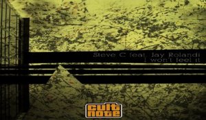 Steve C  Ft. Jay Rolandi - I Won' t Feel it