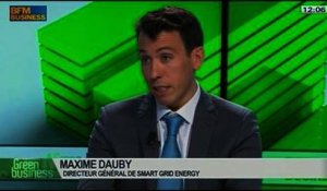 L'effacement de consommation électrique: Arnaud Gossement et Maxime Dauby, dans Green Business – 02/02 1/4