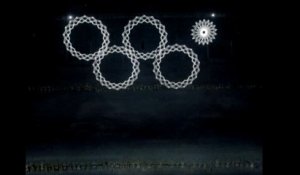 JO de Sotchi : ce qu'a vu Poutine du dysfonctionnement technique  des anneaux olympiques