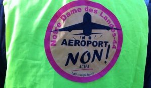 Déambulation contre l'aéroport de Notre-Dame-des-Landes