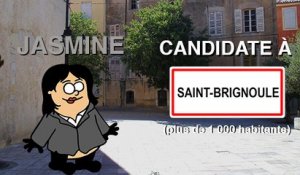 L'élection d'un maire dans une ville de plus de 1000 habitants (expliquée en patates)