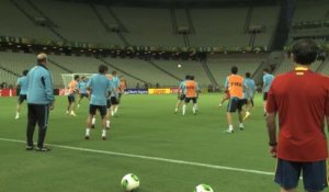 FOOTBALL: FIFA World Cup : Del Bosque a déjà la finale en tête