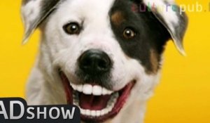 Dogs with most contagious smiles ever!