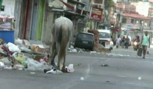 Brésil : policiers militaires et fusiliers marins investissent des favelas de Rio