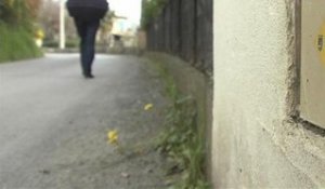 Alpes-Maritimes: "les quartiers "voisins vigilants" sont moins touchés par les cambriolages" - 11/04
