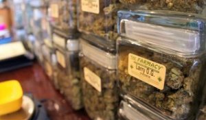 Marijuana : bientôt légale en Californie ?
