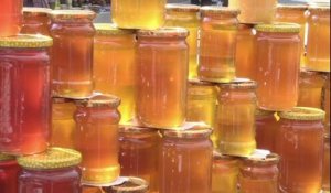 Apithérapie: des soins à base de miel et de piqûres d'abeilles
