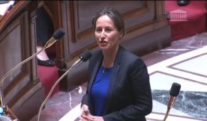 Ségolène Royal répond à la QAG de Geneviève Gosselin-Fleury au sujet du tarif électricité