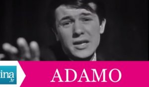 Adamo "La nuit" (live) - Archive vidéo INA