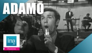 Salvatore Adamo "Vous permettez monsieur" (live officiel) | Archive INA