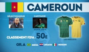 Coupe du Monde 2014 : focus sur le Cameroun
