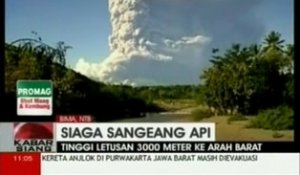 Un volcan indonésien perturbe le trafic aérien