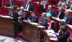 "Vous devriez réviser votre géographie" : Filippetti mouche Collard à l'Assemblée