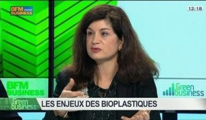 Les enjeux des bio-plastiques: Claude Roy, Christophe Doukhi-de Boissoudy, Sylvie Latieule, et Marc-Arthur Gauthey, dans Green Business – 18/05 2/4