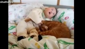 Des chats avec des bébés