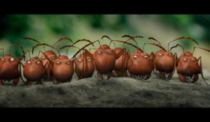 Minuscule, la vallée des fourmis perdues (Bluray+DVD)