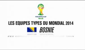 Les equipes types du mondial 2014: Bosnie