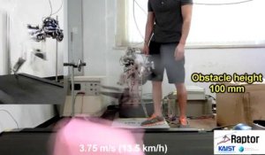 Raptor : robot révolutionnaire qui court à 46 Km/h